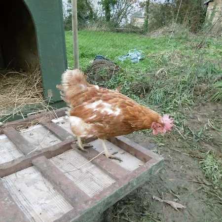 La Bicyclette Bleue Montpinchon