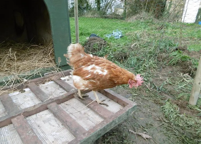 La Bicyclette Bleue Montpinchon